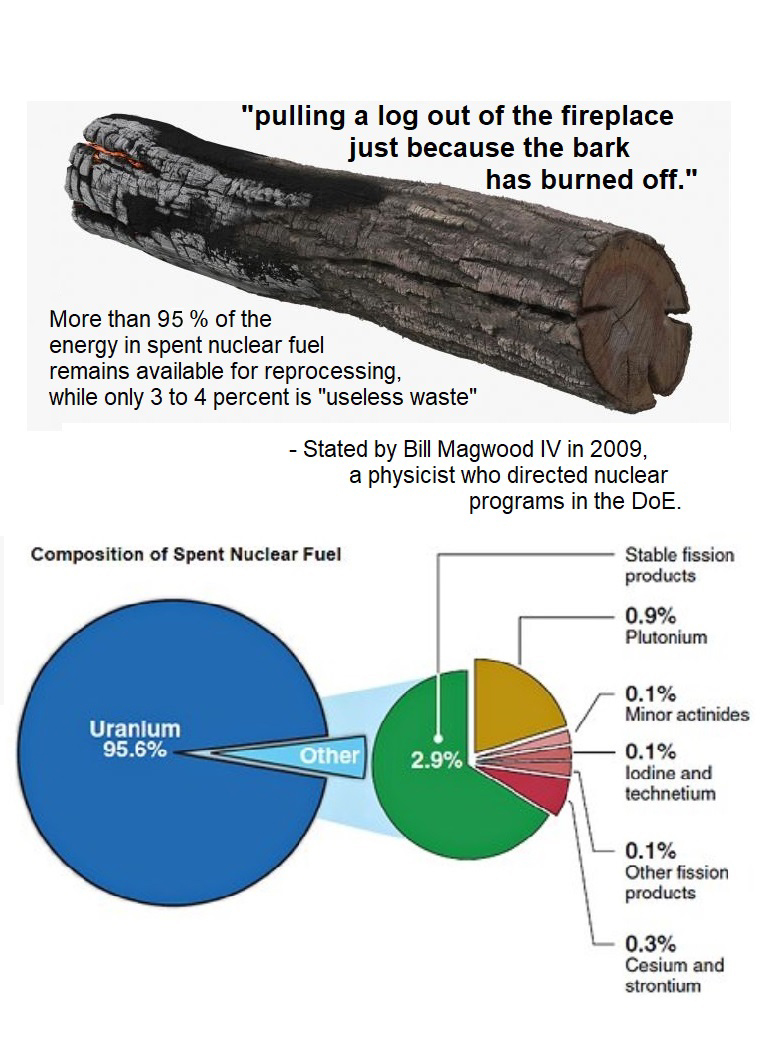 Partially Burnt Log as compared to SNF 8-12-19